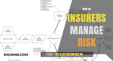 Managing Risk: Insurers' Strategies and Secrets
