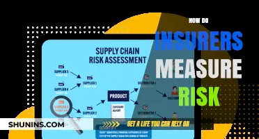 Understanding Insurers' Risk Assessment Techniques