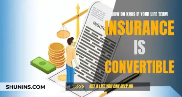 Is Your Life Term Insurance Convertible?