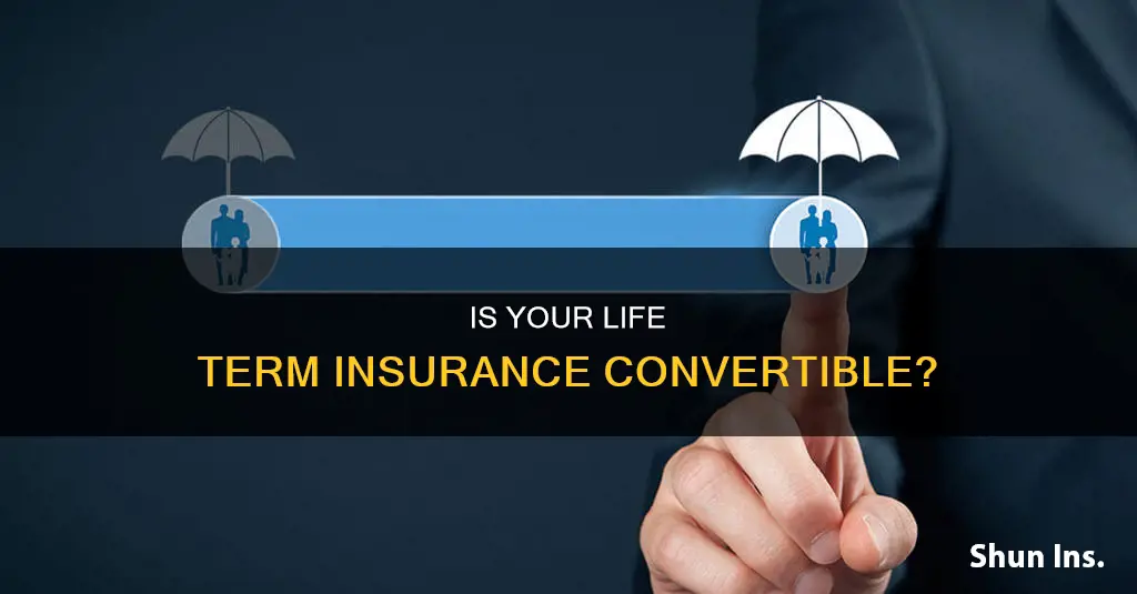 how do knos if your life term insurance is convertible