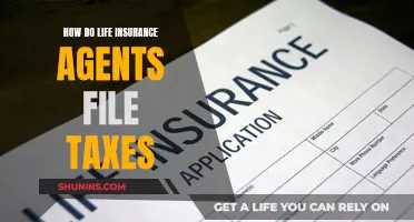 Life Insurance Agents: Filing Taxes Simplified