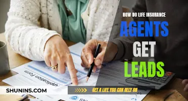 Life Insurance Agents: Generating Leads for Success