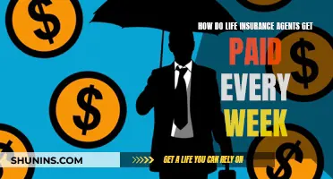 Life Insurance Agents: Weekly Paychecks and Commissions