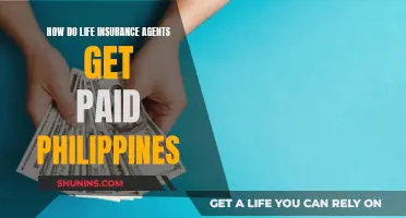 Life Insurance Agents' Payment Schemes in the Philippines