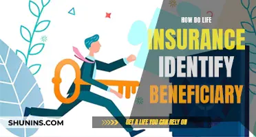 Life Insurance Beneficiary: Who Gets the Payout?