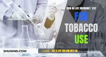 Life Insurance and Tobacco: Testing for Usage