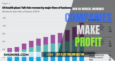 Medical Insurance Companies: Making Profit Off Your Health