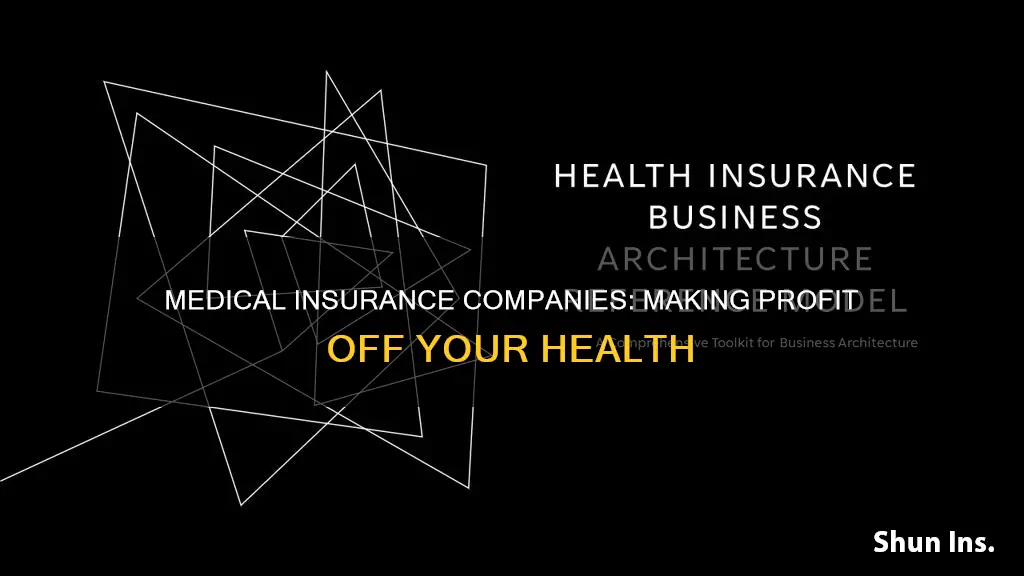 how do medical insurance companies make profit