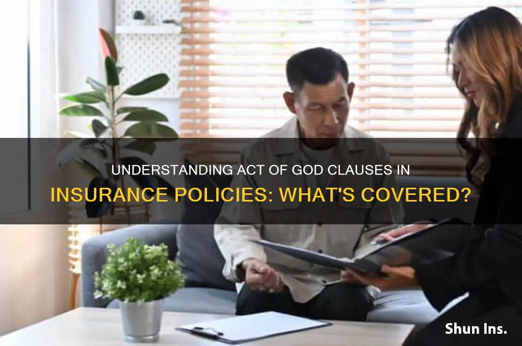 how do most insurances count as an act of god