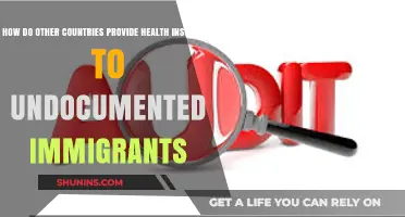 Global Health Coverage: How Nations Insure Undocumented Immigrants