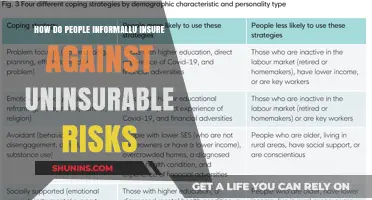 Insuring the Uninsurable: Informal Risk Mitigation Strategies