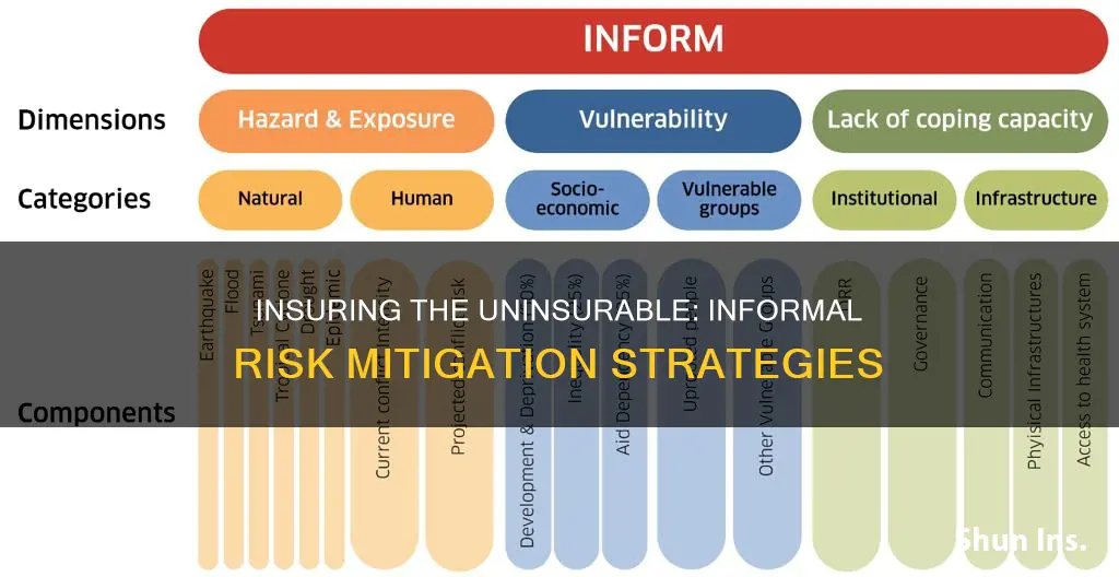 how do people informallu insure against uninsurable risks