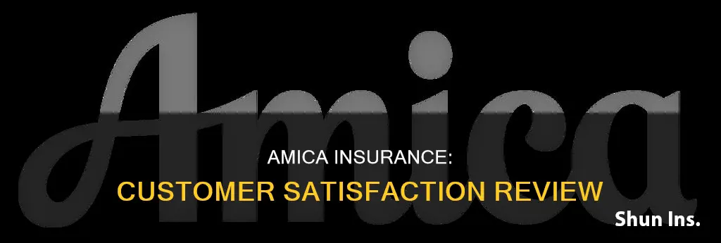 how do people like amica insurance