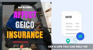 Understanding GEICO Insurance: Points and Premiums Explained