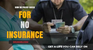 Police Strategies for Catching Uninsured Drivers