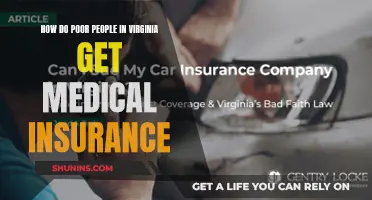 Virginia's Poor Seek Medical Insurance: What Are Their Options?