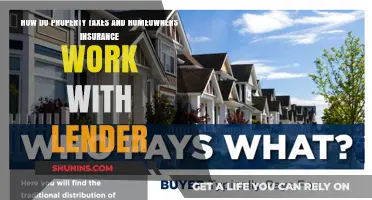 Property Taxes and Insurance: What Homeowners Need to Know