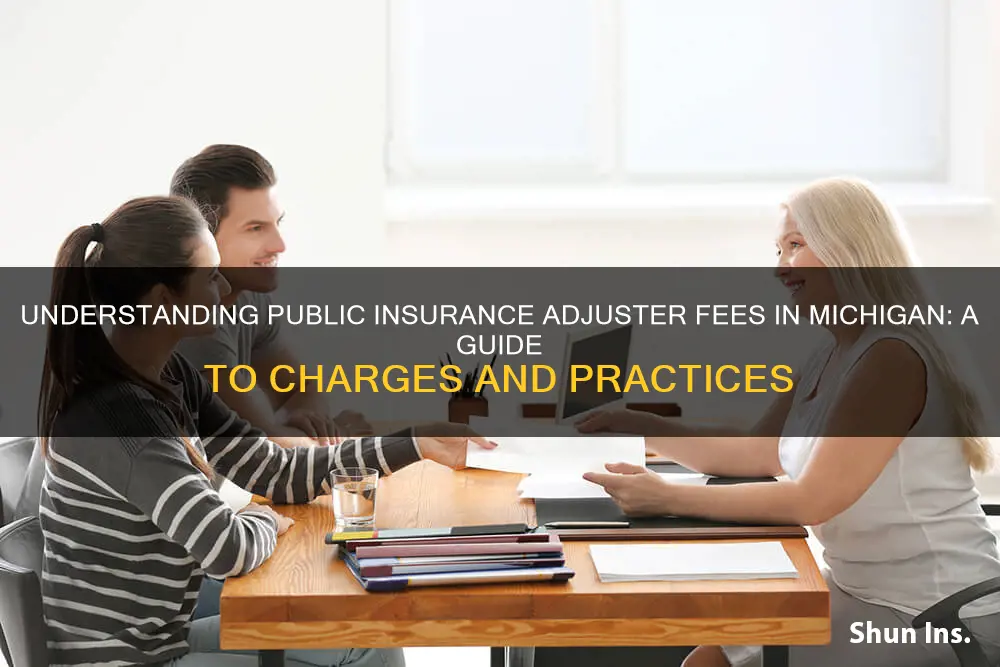 how do public insurance adjusters charge in Michigan