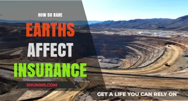 Rare Earths: Insurance Industry's New Risk Factor