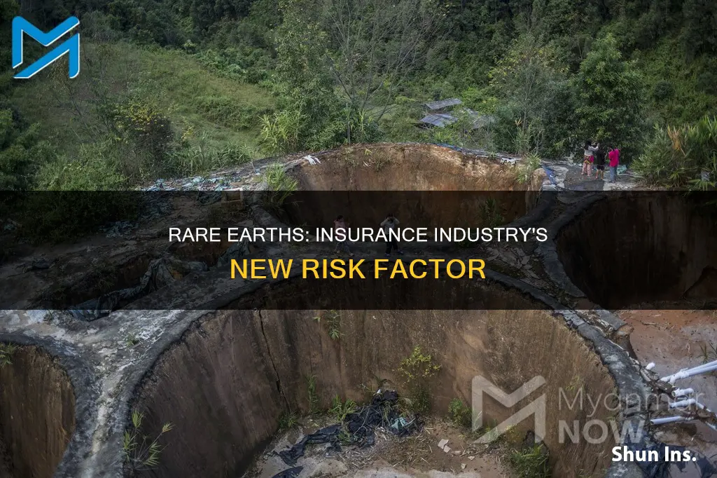 how do rare earths affect insurance