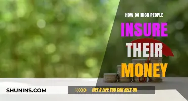 Insuring Wealth: Strategies of the Rich