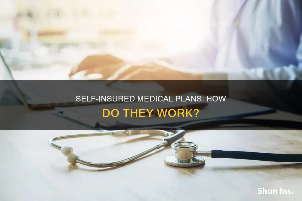 how do self insured medical plans work