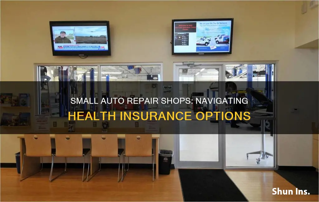 how do small auto repair shops offer health insurance