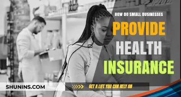 How Small Businesses Offer Affordable Health Insurance Solutions