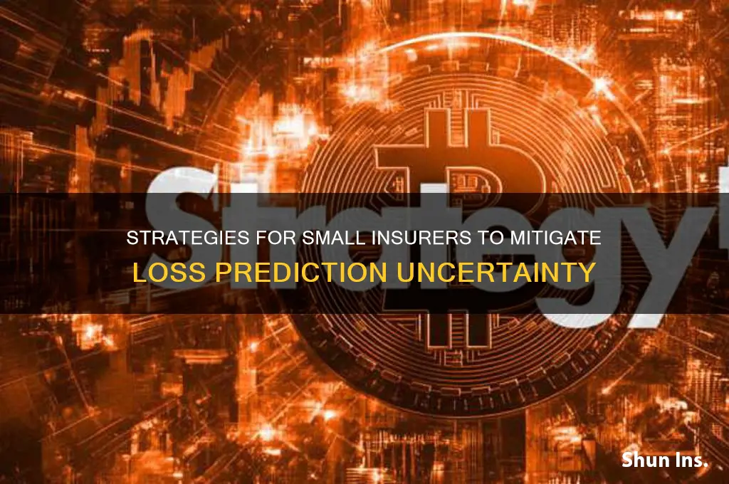 how do small insurers reduce the uncertainty in predicting losses