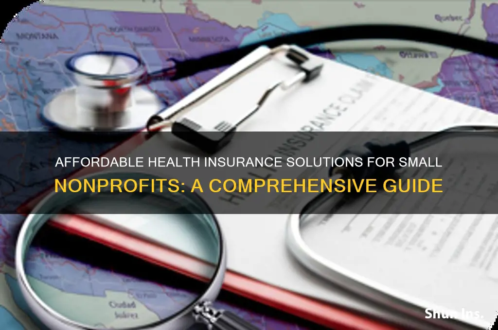 how do small nonprofits health insurance