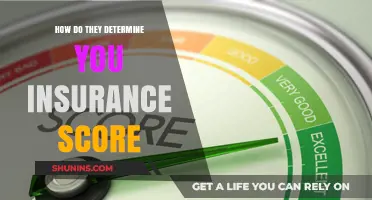 Understanding Your Insurance Score: Factors and Calculation Methods Explained
