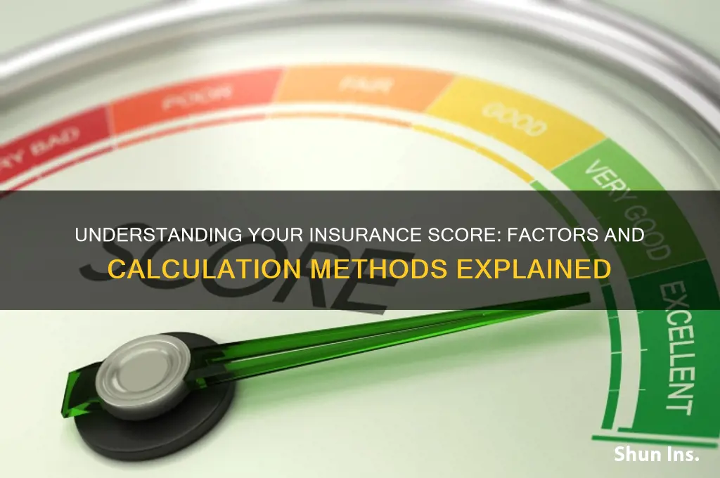 how do they determine you insurance score