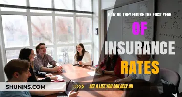 Understanding Insurance Rates: First Year Premiums Explained