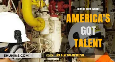 Insuring America's Got Talent: Behind the Scenes of Risk Management