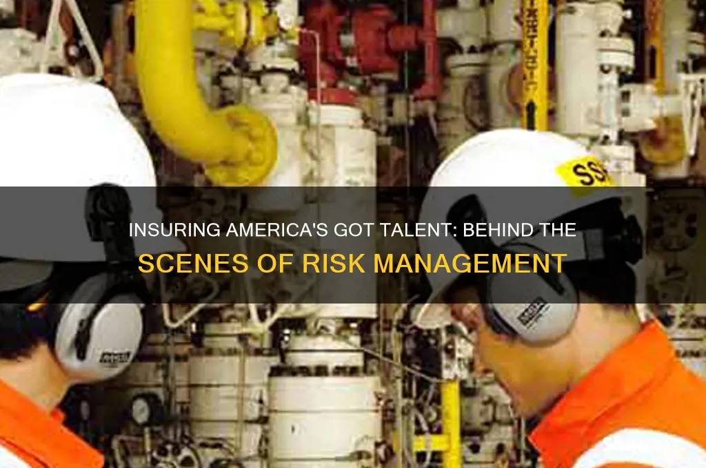 how do they insure america