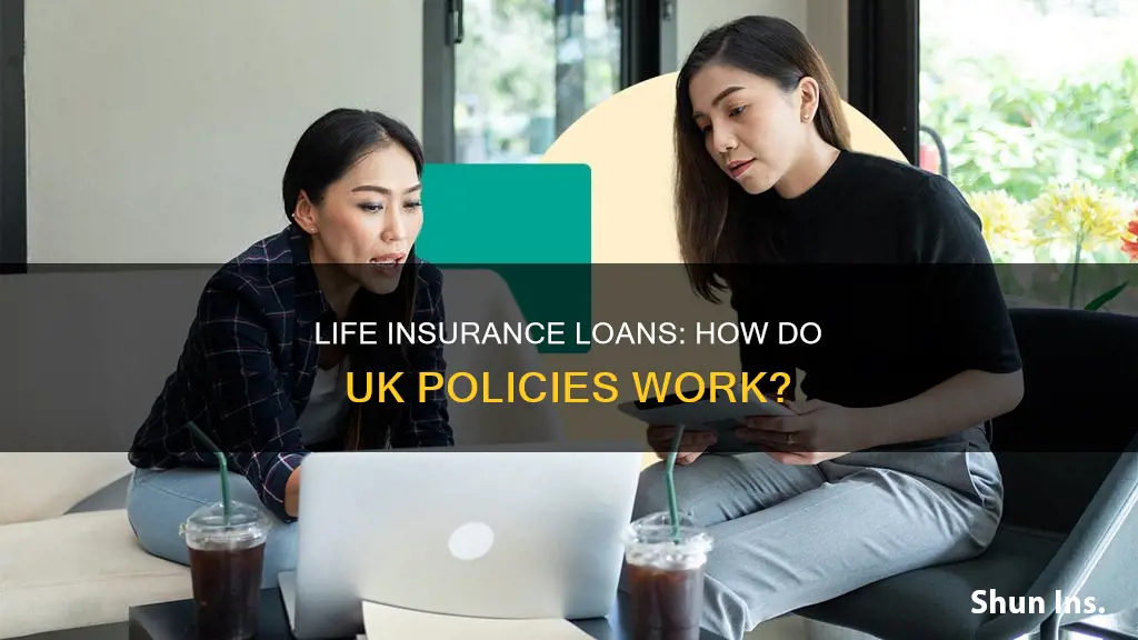 how do uk life insurance loans