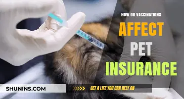 Vaccinations: Impacting Pet Insurance and Your Furry Friend's Health