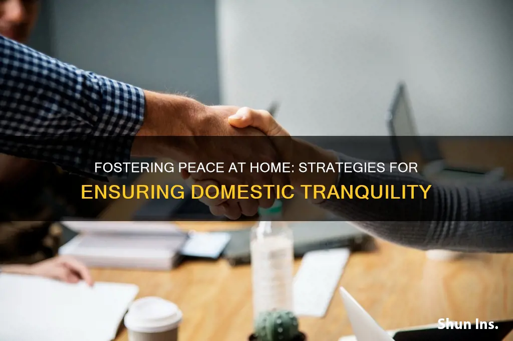 how do we insure domestic tranquility