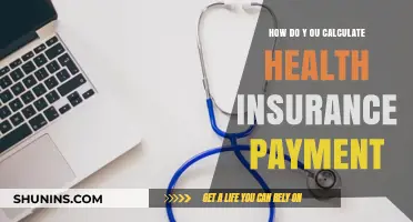 Understanding Health Insurance Payments: Calculation Methods and Factors Explained