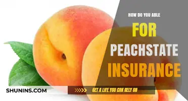 How to Qualify for Peachstate Insurance: A Comprehensive Guide