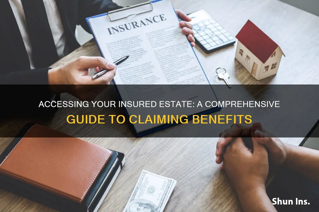 how do you access insured estate