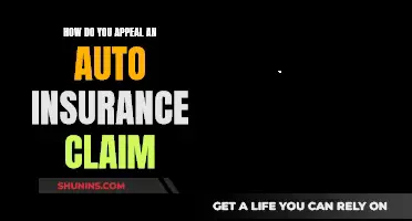 Challenging the Verdict: Navigating the Appeals Process for Auto Insurance Claims