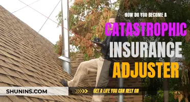 Unraveling the Path to Becoming a Catastrophic Insurance Adjuster