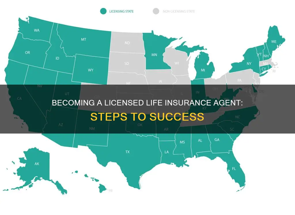 how do you become a licensed life insurance agent