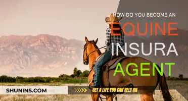 Becoming an Equine Insurance Agent: Steps to Success