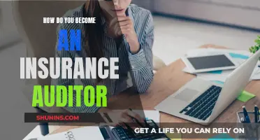 Becoming an Insurance Auditor: Steps to Take