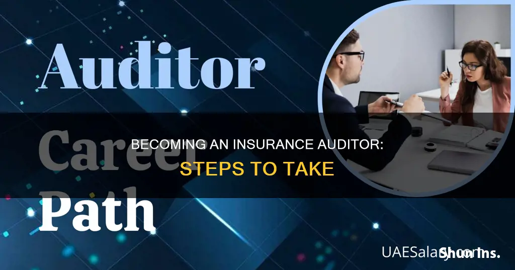 how do you become an insurance auditor