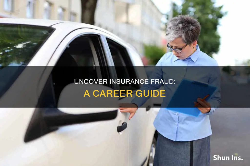 how do you become an insurance fraud agent