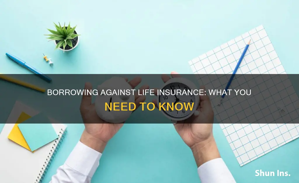 how do you borrow against life insurance