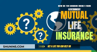 Borrowing Money: Government Mutual Life Insurance Options